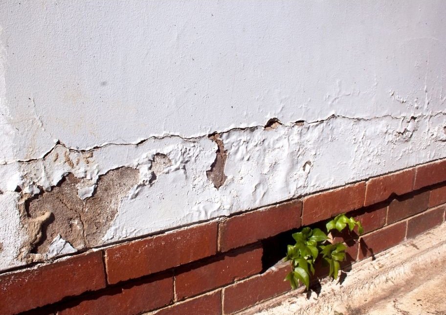 Rising Damp Treatment in Pretoria Homes