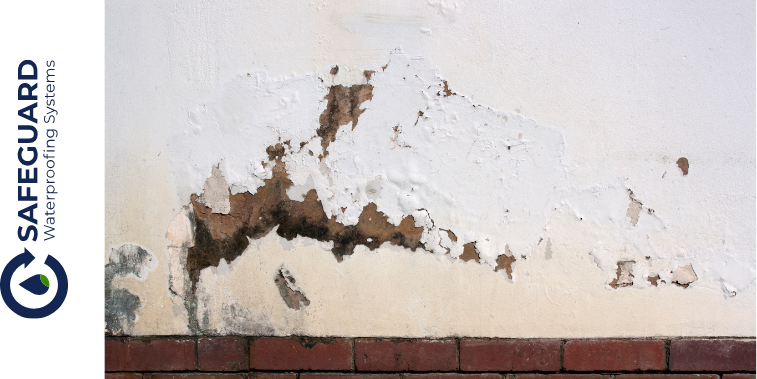 Visible signs of rising damp such as tide marks, peeling paint, and damp patches