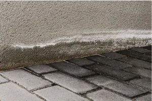 Effective rising damp treatment with Dryzone Cream and Dryrods for long-term protection