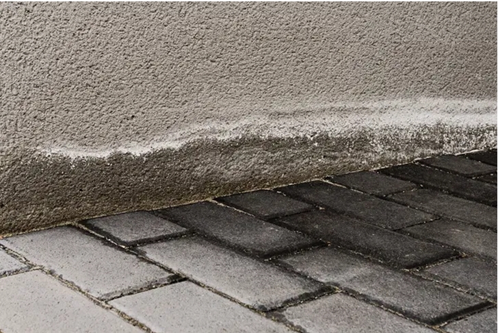 Effective rising damp treatment with Dryzone Cream and Dryrods for long-term protection