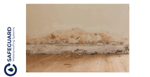 Common reasons for rising damp treatment failure in South African buildings.