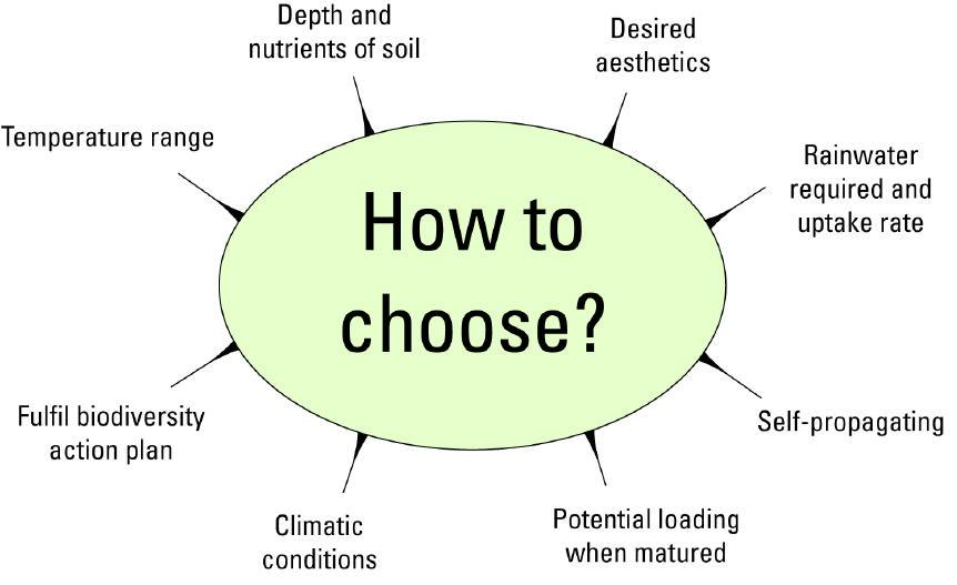 Example of an extensive green roof with low-maintenance vegetation
