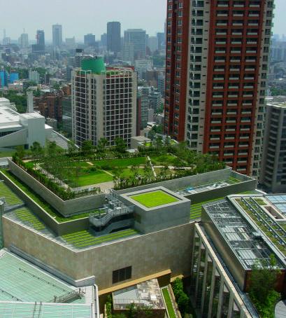 Layers of a green roof including waterproofing, drainage, and vegetation