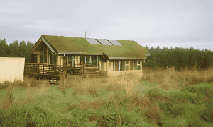 Green roof waterproofing system installed on a modern building