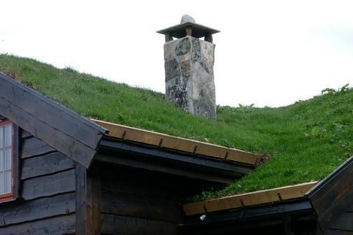 Example of an extensive green roof with low-maintenance vegetation