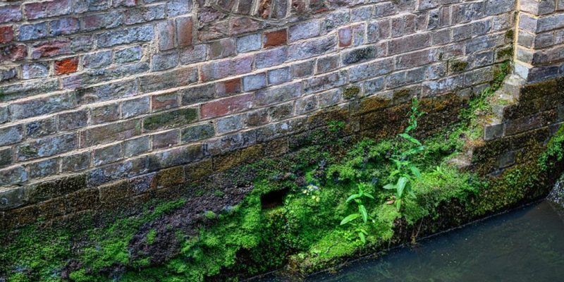 Applying Stormdry Masonry Protection Cream for waterproofing